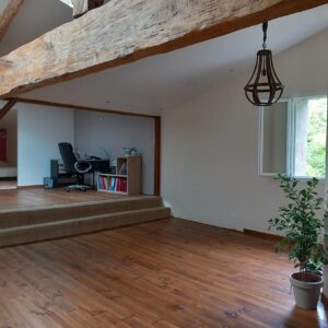 Grand espace de vie moderne avec poutres apparentes, parquet et estrade moquettée menant à un bureau. Lumière naturelle par fenêtre, plante.