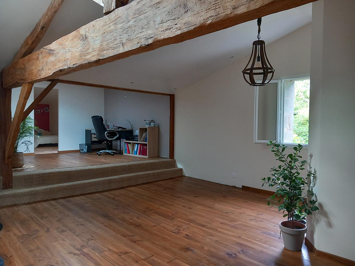 Grand espace de vie moderne avec poutres apparentes, parquet et estrade moquettée menant à un bureau. Lumière naturelle par fenêtre, plante.