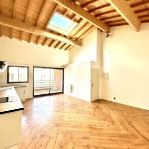 Loft lumineux avec plafond en bois apparent et puits de lumière. Grand espace de vie ouvert et cuisine moderne, parquet en chevrons.