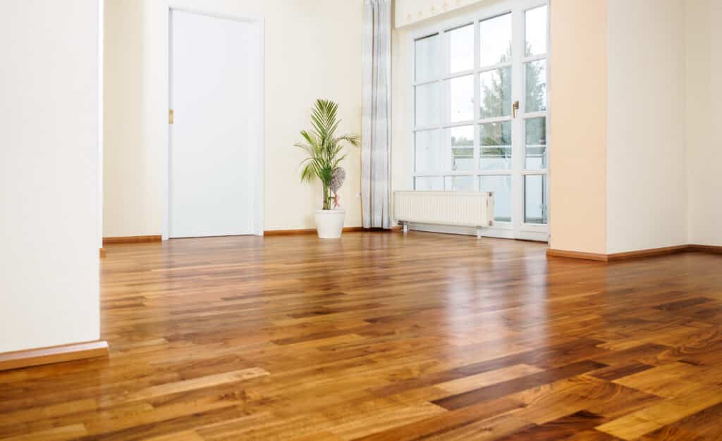 Pièce vide lumineuse : parquet bois, fenêtre, radiateur Pièce vide lumineuse avec parquet bois clair, murs beige, grande fenêtre, radiateur, porte blanche et plante décorative.
