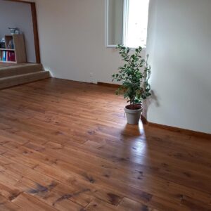 Pièce lumineuse avec plancher en bois ciré, escalier moquetté menant à un bureau et plante verte près d'une fenêtre.