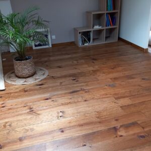 Salon avec plancher en bois clair, grande plante en pot sur tapis tressé, étagère en bois et livres. Ambiance naturelle.