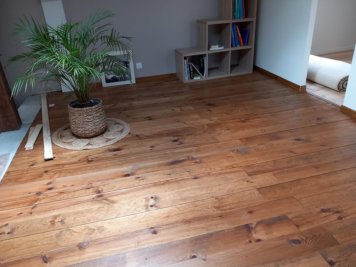 Salon avec plancher en bois clair, grande plante en pot sur tapis tressé, étagère en bois et livres. Ambiance naturelle.